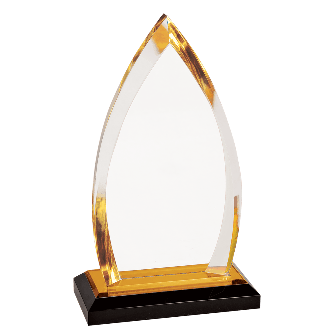 8 3/4" Oval Impress Acrylic Award