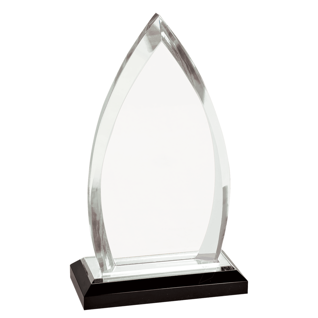 8 3/4" Oval Impress Acrylic Award