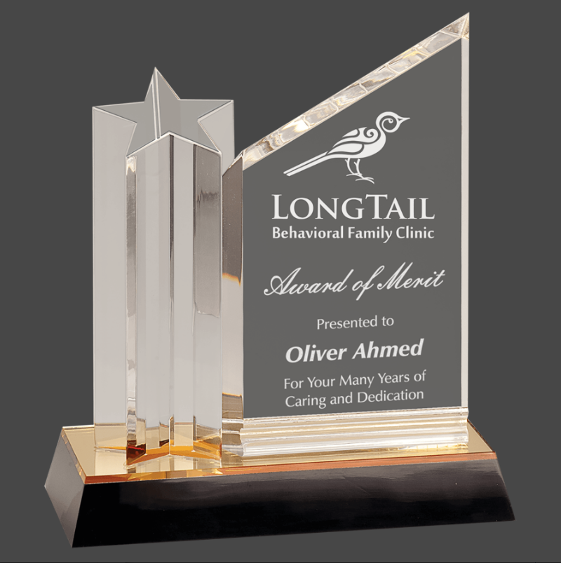 An acrylic trophy with a clear plaque that features a gold/black base.