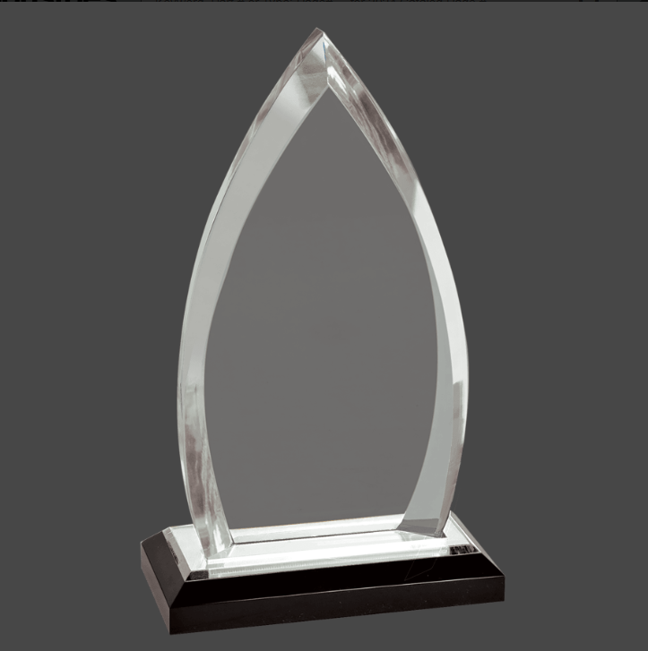 8 3/4" Oval Impress Acrylic Award