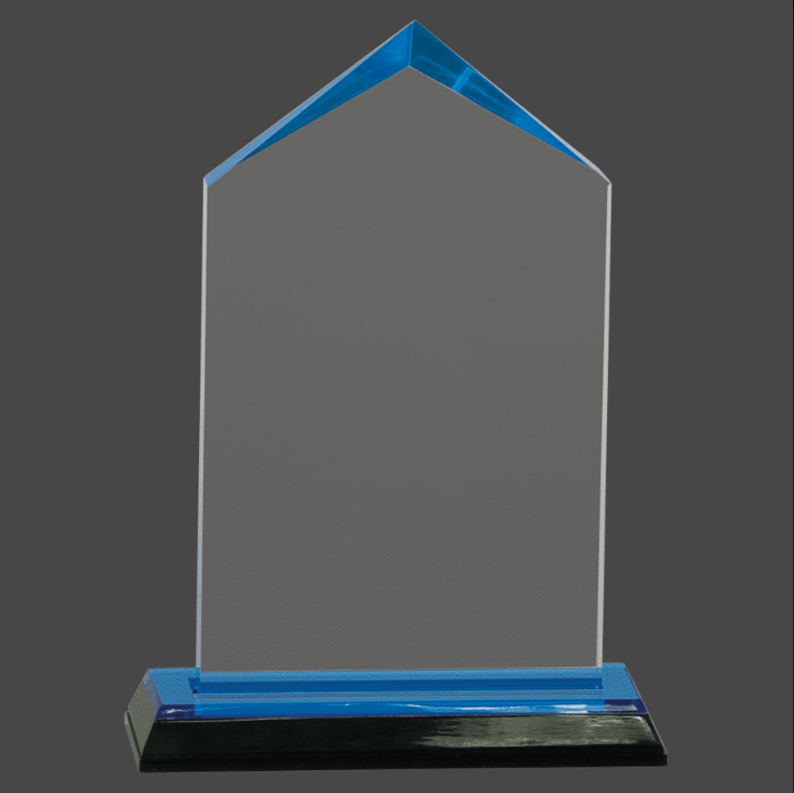 6 1/2" Jewel Impress Acrylic Award